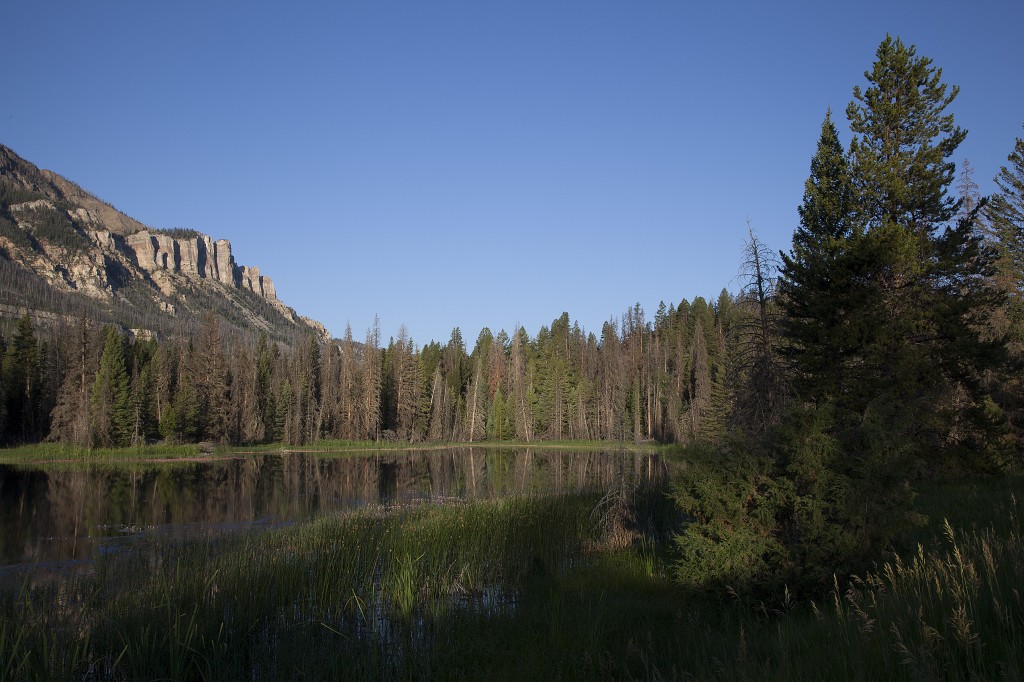 Wetlands under Cathedral Cliffs, Shoshone National Forest, Wyoming