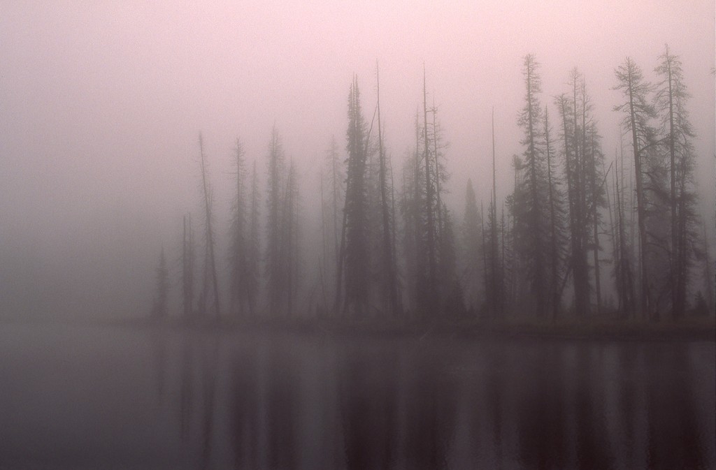 Lewis River, Wyoming